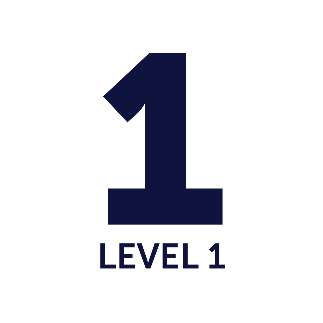 Level 1