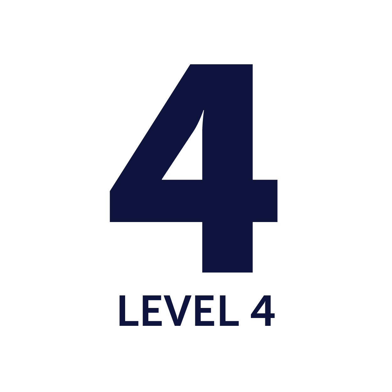 Level 4