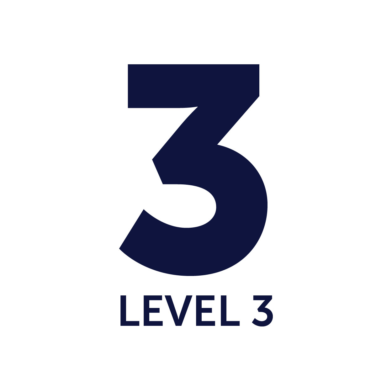 Level 3